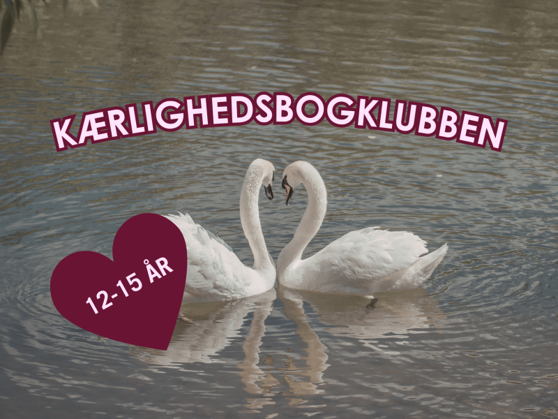 Kærlighedsbogklubben for unge