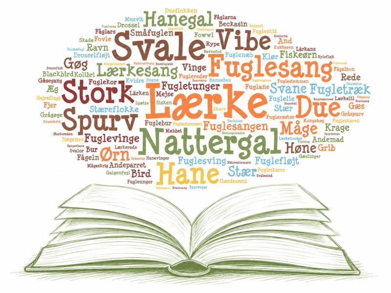 Fugle i Højskolesangbogen